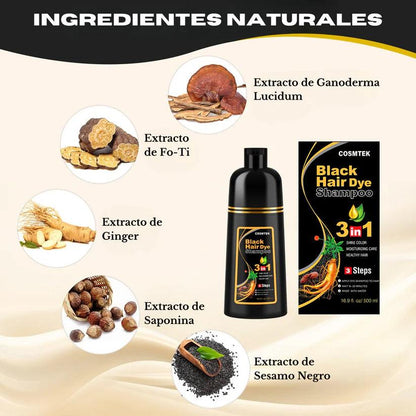 Champú